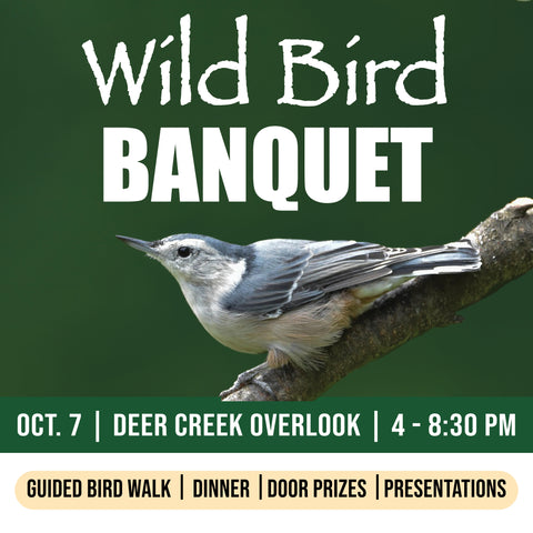 Wild Bird Dinner