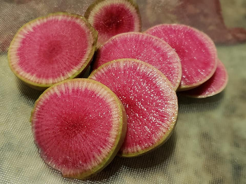 Watermelon radish garden seeds from The Mill, fresh packet showing vibrant radish seeds for planting in vegetable gardens.