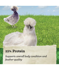 22% protein label for Nutrena NatureWise Silkie & Ornamental Layer feed