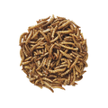 Wild bird premium dried mealworms from Central Farm and Garden, shown in a clear container perfect for bird feeding.