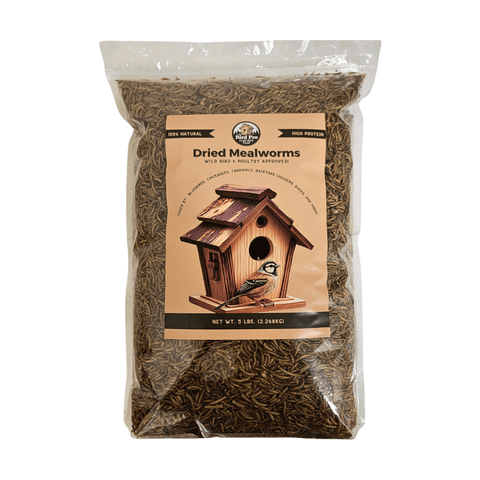 Wild bird premium dried mealworms from Central Farm and Garden, displayed in a clear container for attracting garden birds.