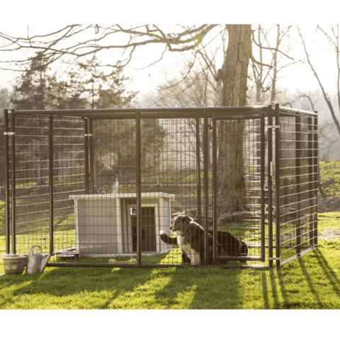 Tarter heavy-duty welded wire dog kennel, 10x10x6 feet, sturdy animal enclosure for pets and outdoor use.
