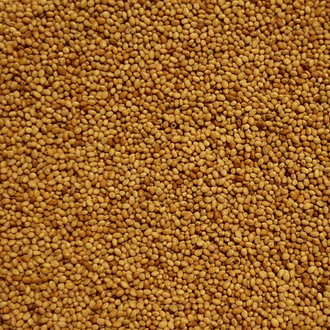 The Mill Crimson Clover Cover Crop