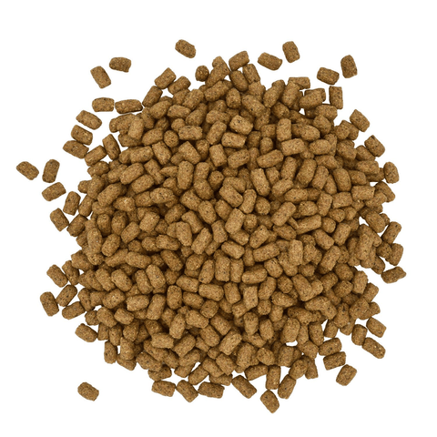 Blue Seal Sentinel® Care Omegatin® horse supplement in a 40 lb bag, showing the horse feed packaging with branding and product info.