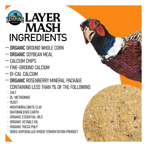 Keystone Hi-Protein Layer King poultry feed in 50lb bag with colorful packaging and product label visible.