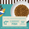 Cat food with label on a white plate, cartoon cat on teal background