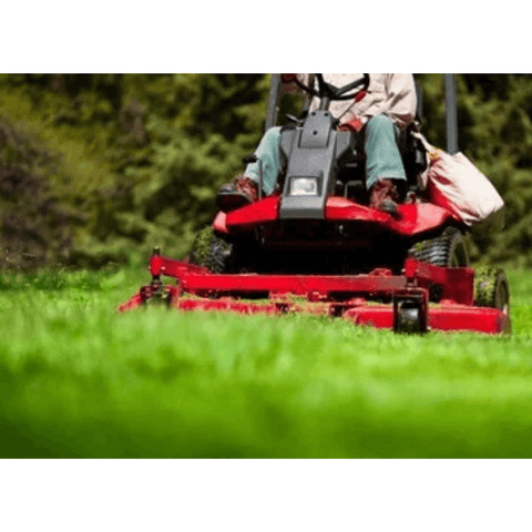 Person operating a red riding lawn mower on a green lawn with blurred background