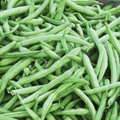 Close-up of green beans