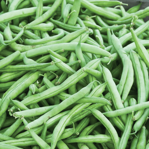 Close-up of green beans
