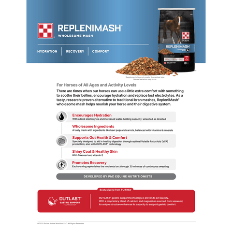 A branded marketing page for Replenimash Wholesome Mash horse supplement, featuring a blue header with the product name, a photo of a horse, a bag of the product, a pile of the brown powder, and several benefit callouts on a white background.