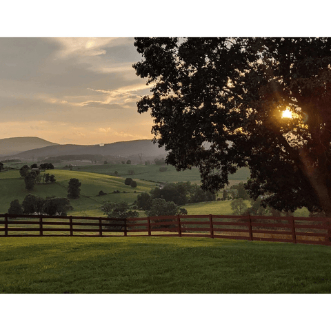 Sunset over a rural landscape with a wooden fence and trees.