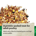 A close-up of a bird treat mix scattered across a white background, with a paper label overlay reading 'A protein-packed treat for adult poultry' and 'Made with a blend of cleaned grains and high protein pellets.'.