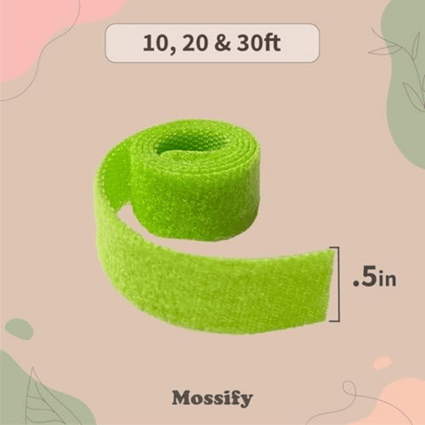 Green moss strip with measurements and 'Mossify' branding on a beige background