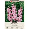 Netherlands Bulb Company Gladiolus Wine and Roses packaging with pink flowers.