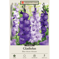 Netherlands Bulb Company gladiolus packaging with purple and white flowers.