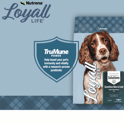 An informational graphic of Loyall Life Sensitive Skin and Coat by Nutrena with a dog 