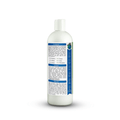 Earthbath Shea Butter Shampoo for pets, showing a bottle of Earthbath pet grooming supplies with a clean, natural design.