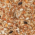 Wild Delight Dove and Quail Bird Food in a 10 lb bag, featuring a colorful mix of grains and seeds for wild birds.