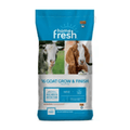 Kent Feeds Home Fresh Goat Grow & Finish Pellet in a 50 lb. bag, showing goat and sheep feed pellets on the bag's label.