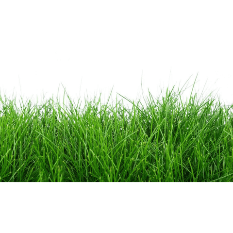 Chesapeake Valley Seed hard fescue turfgrass seed in a bag, ideal for lawn and turf landscaping projects.