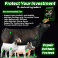 Advertisement for a product to support animal health with text and images of animals.