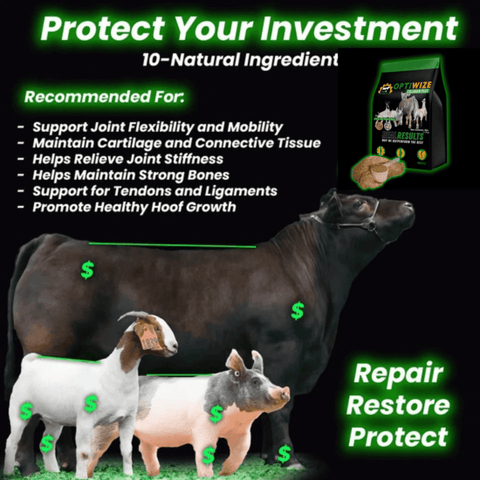 Advertisement for a product to support animal health with text and images of animals.