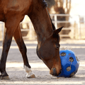 Horse using a Slow Feed Hay Ball in blue in a farm setting with a fence in the background 