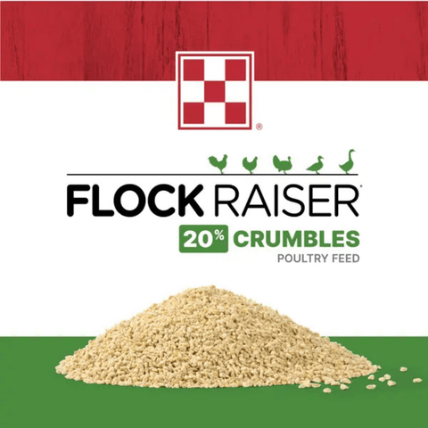 Purina Flock Raiser poultry feed crumbles in a 50 lb bag, suitable for raising healthy chickens and poultry.