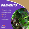 Product packaging for organic gardening with leaf damage 