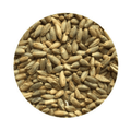 Leabrook Ag Rye VNS seed bag for planting, 50lb of seeds and seed tape for agricultural use.