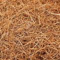 Jolly Gardener pine straw mulch in a 2 cu. ft. bag, showing golden pine needles ideal for landscaping and garden mulching.