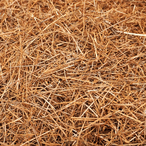 Jolly Gardener pine straw mulch in a 2 cu. ft. bag, showing golden pine needles ideal for landscaping and garden mulching.