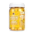 Weruva Puddy Pops Chicken & Pumpkin lickable cat treats in 0.5 oz tubes, 50 count, for pet food and treats.
