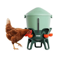 Green Omlet chicken feeder with a brown chicken on a white background