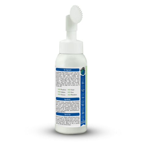 Earthbath Paw Wash for pets, natural grooming supplies with a bottle of Earthbath pet paw cleaner on a white background.