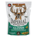 Deer feeding on Imperial Whitetail® Clover Food Plot Mix by Bradley Caldwell Inc, showing lush green clover in a natural outdoor setting.