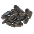 Chesapeake Valley Seed Peredovik sunflower seed crop seed in a 50 lb. bag, black oil sunflower seeds for planting or feed