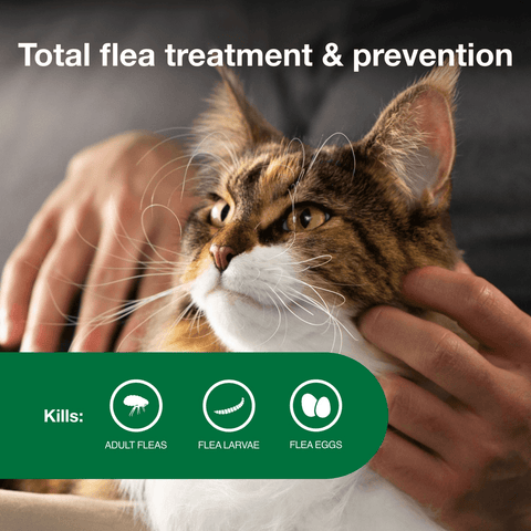 A close-up of a cat being gently held by two hands, with the text 'Total flea treatment & prevention' at the top and a green banner at the bottom listing what the treatment kills: adult fleas, flea larvae, and flea eggs.