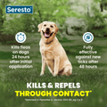 A yellow Labrador retriever sits on green grass in a park setting, with Seresto branding and product claims overlaid on the image. Text states it kills fleas on dogs 24 hours after application and is fully effective against new ticks after 48 hours.