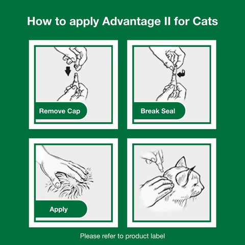 Step-by-step guide on how to apply Advantage II for cats with illustrations and text.