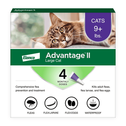 Elanco Advantage II large cat flea prevention packaging with a cat on the box.