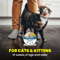 A calico cat stands on a dark wood floor while a person in tan pants and gray polka-dot socks pets its head. A round package of Seresto flea and tick treatment for cats is placed on the floor in front of the person, with bold text at the bottom reading 'FOR CATS & KITTENS 10 weeks of age and older'.