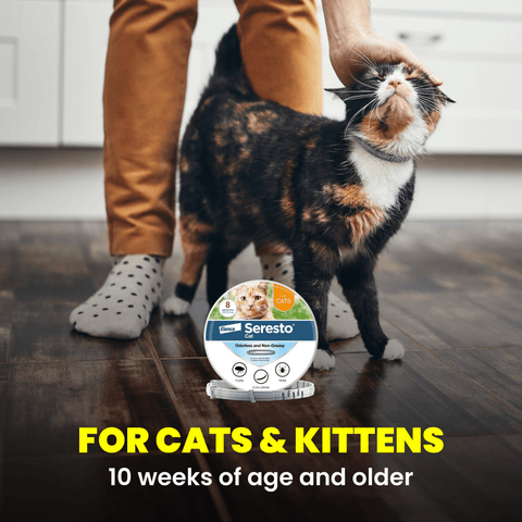 A calico cat stands on a dark wood floor while a person in tan pants and gray polka-dot socks pets its head. A round package of Seresto flea and tick treatment for cats is placed on the floor in front of the person, with bold text at the bottom reading 'FOR CATS & KITTENS 10 weeks of age and older'.