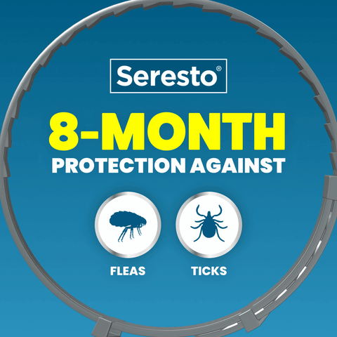 A blue promotional graphic for Seresto featuring a large gray circular border and bold yellow and white text that reads 'Seresto 8-Month Protection Against' with icons for fleas and ticks.
