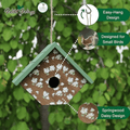 A hanging birdhouse with a green roof and white daisy floral pattern on a brown front, shown outdoors against green leaves. Callout graphics explain the easy-hang design, small-bird suitability, and springwood daisy pattern.