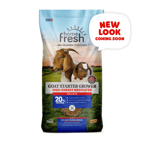Blue Seal Home Fresh Goat Start & Grow HE 20R 50 lb bag of goat and sheep feed with blue and white packaging and product label.