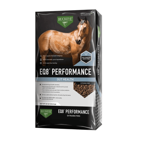 Buckeye Nutrition EQ8 horse feed bag by Stolzfus, 50 lb, showing the colorful packaging for gut health performance horse feed.