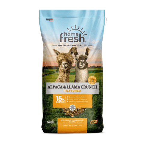 Blue Seal Home Fresh Alpaca & Llama Crunch feed for llamas and alpacas, 50 lb bag with colorful packaging.