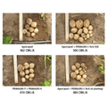 C-Tech® Biological Soil Enhancer fertilizer by AgroLiquid in a 2.5-gallon container, showing rich, organic soil with healthy plant roots.