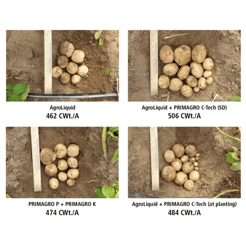 C-Tech® Biological Soil Enhancer fertilizer by AgroLiquid in a 2.5-gallon container, showing rich, organic soil with healthy plant roots.